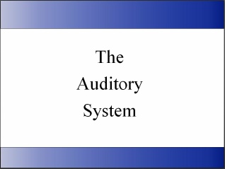 Auditory System.ppt