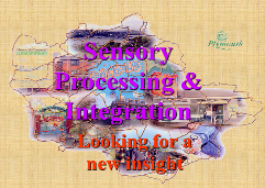 SI Presentation Friends and Family 2019 Plymouth.pdf