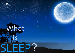 Sleep Presentation.pdf